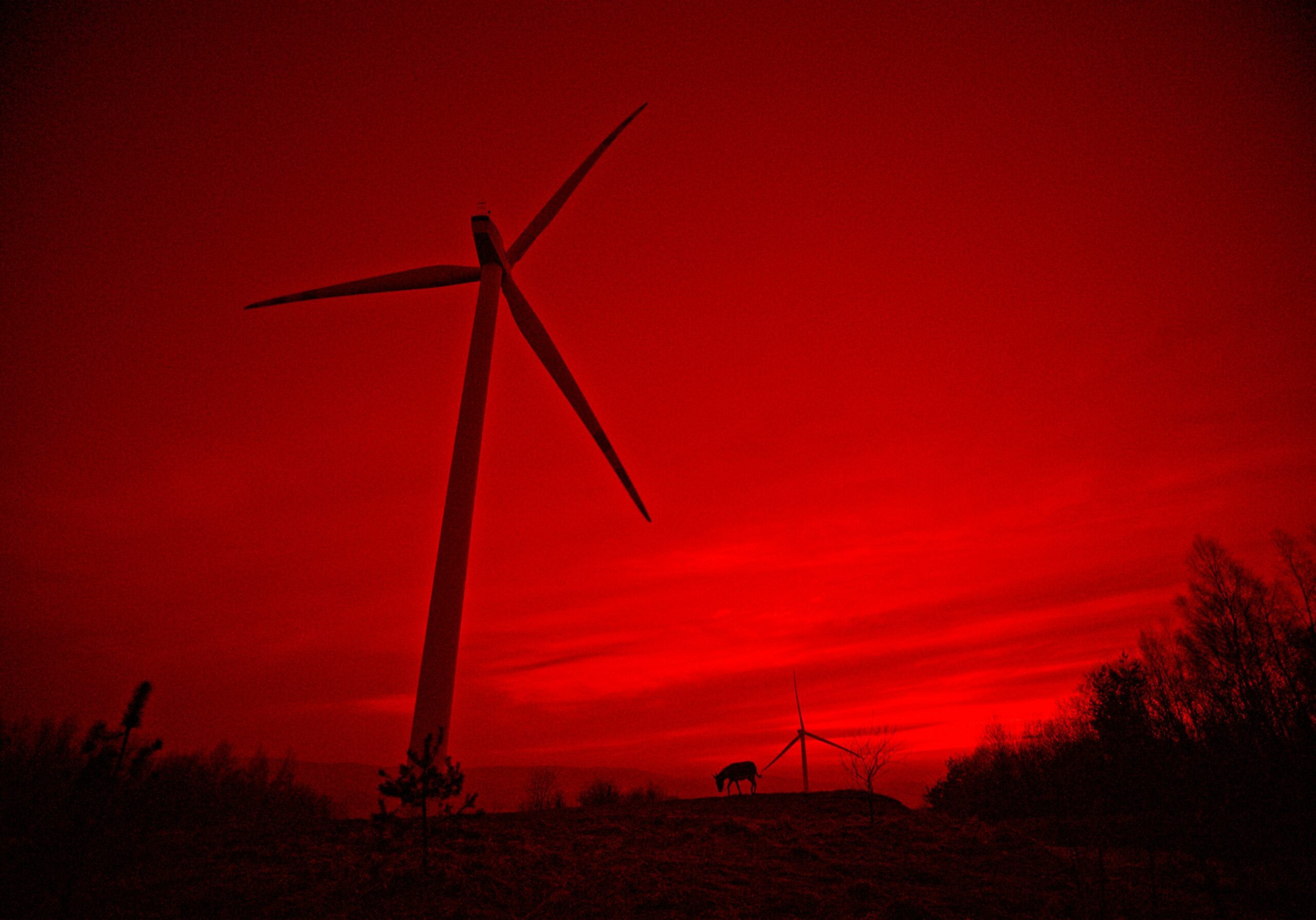 A windmill in the red sunset sky as seen in EO by Jerzy Skolimowski