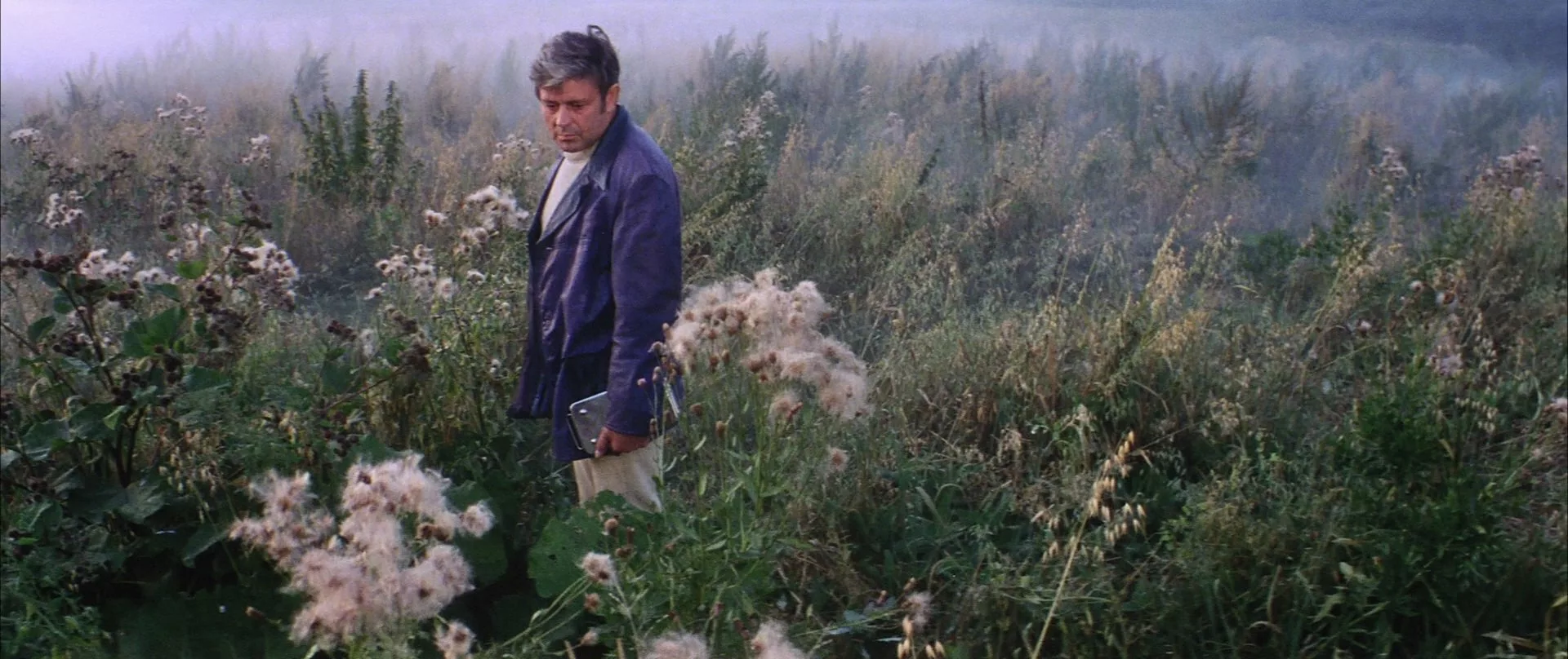 a man stands in the middle of a field if flowers and weeds
