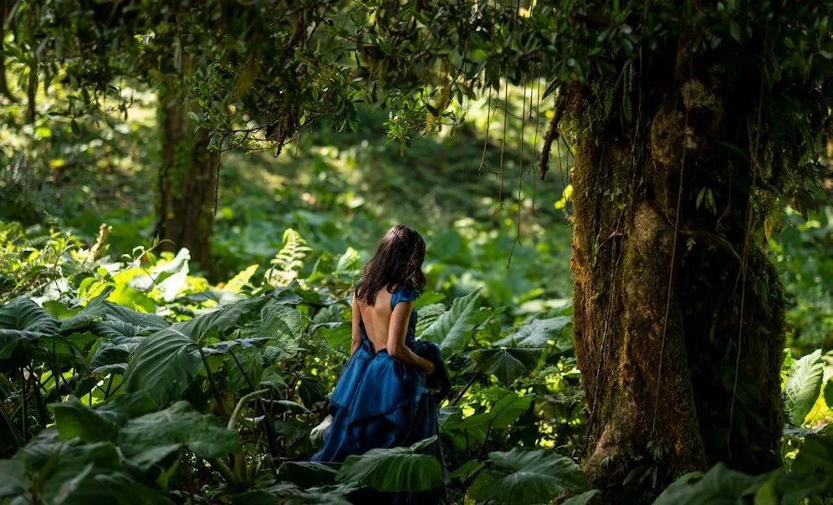 Girl in a dress entering the woods