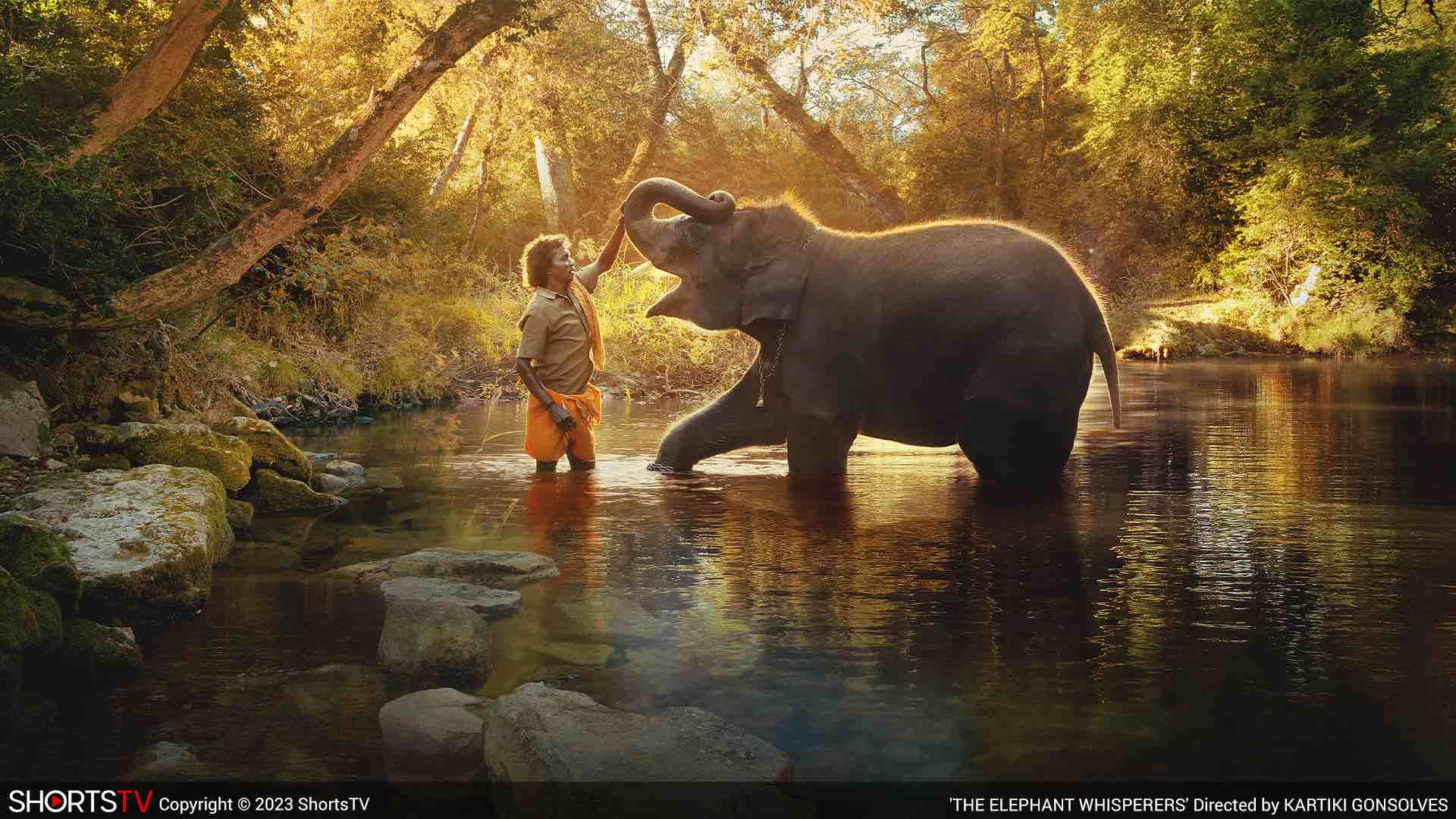 An orphaned elephant being caressed by a man in the shallow of a river, in Elephant Whisperers, an Oscar 2023 nominated short documentary