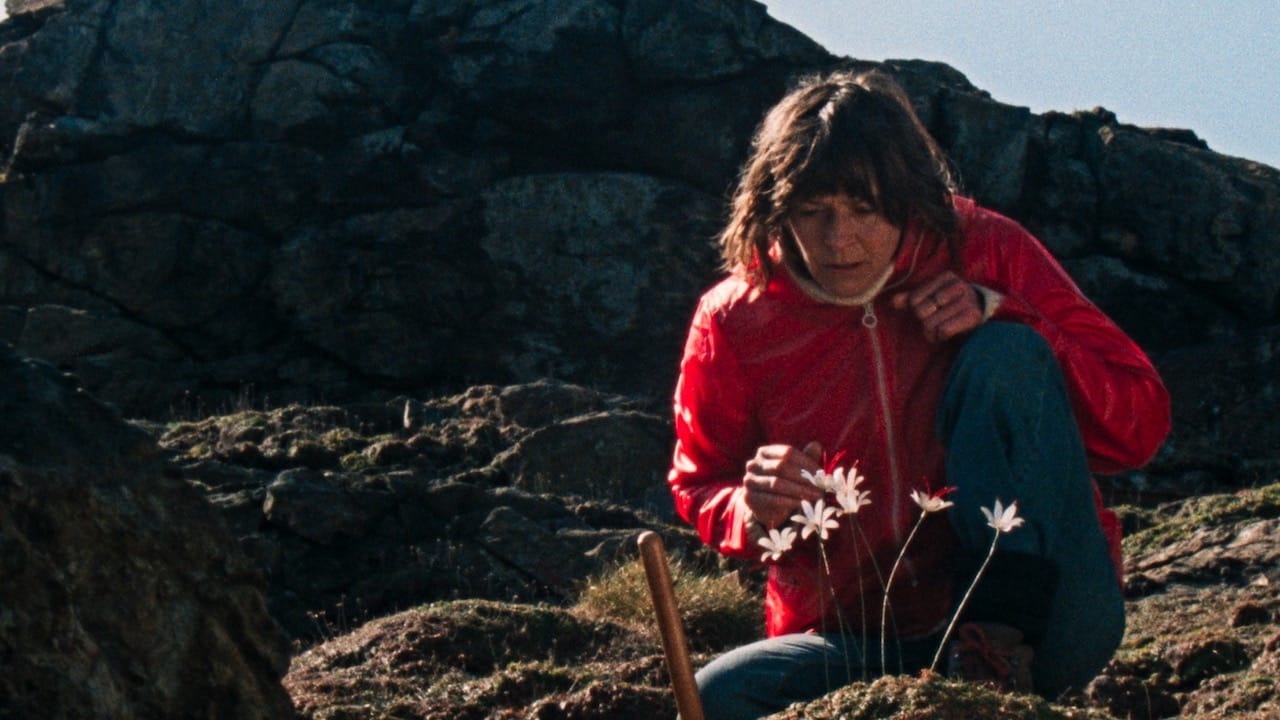 A middle-aged woman in a red wind jacket examining camomiles in the mountain as she hunches with a shovel dug into the rocky soil