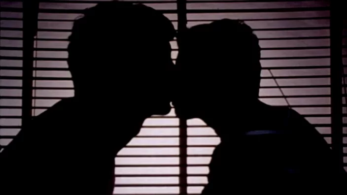 Dark shadows of two guys kissing against the closed window