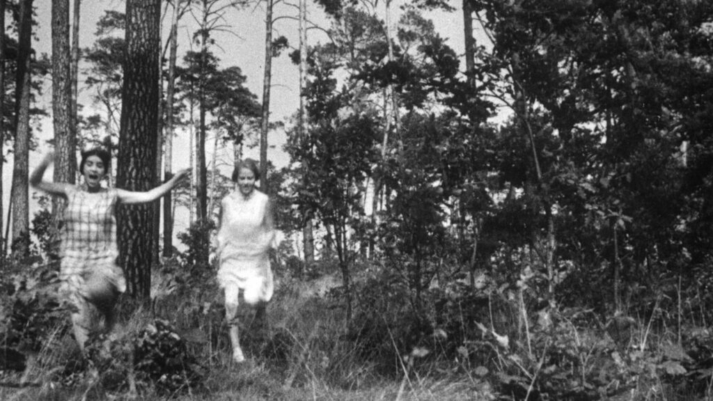 Calendar Roxie Calendar Roxie