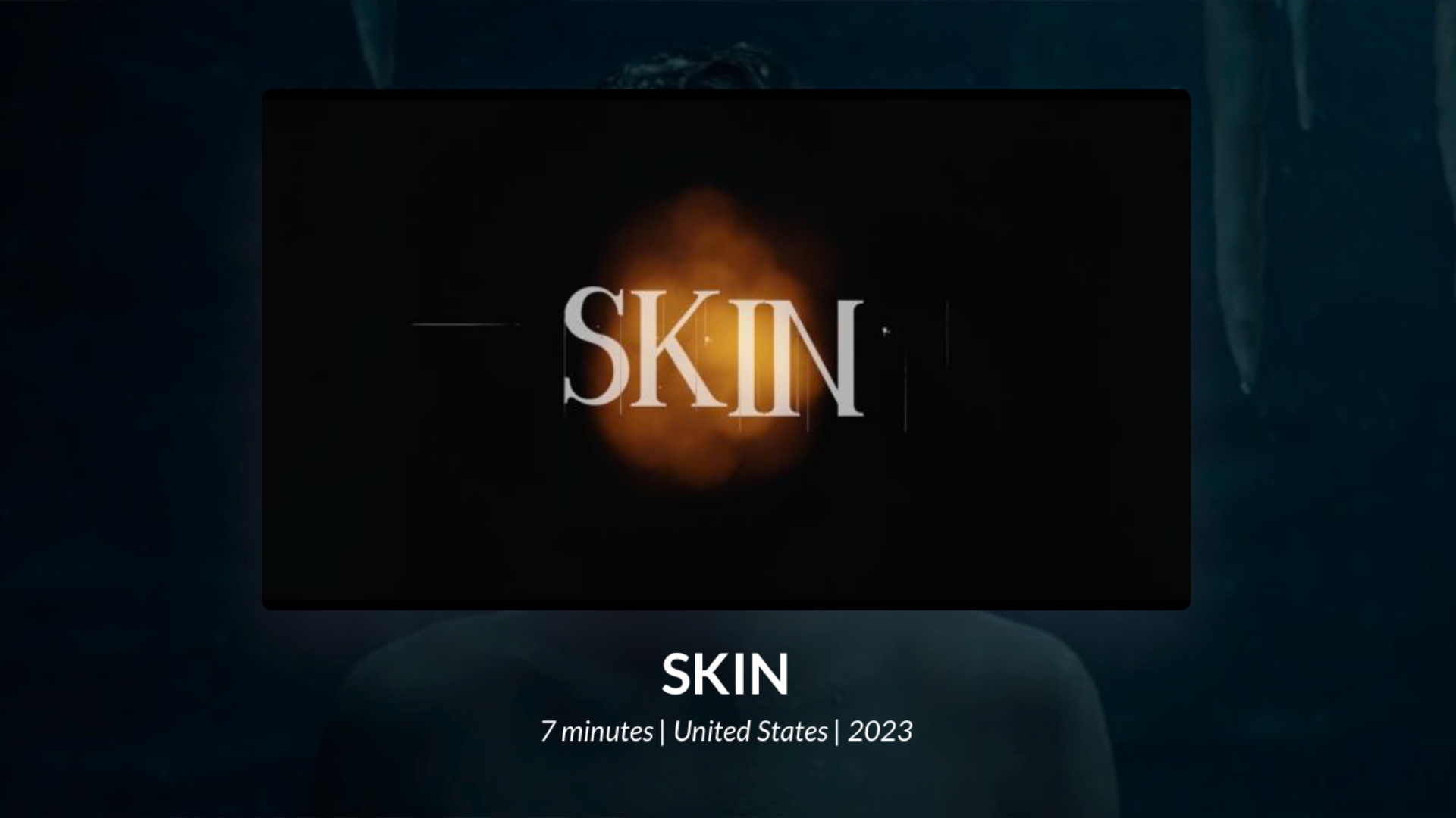 artwork for “skin”