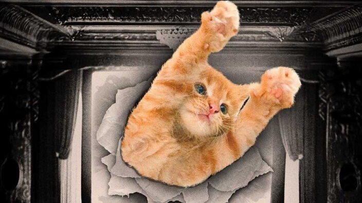 A cute kitty saves the day.