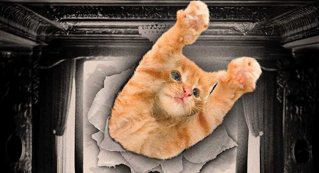 A cute kitty saves the day.